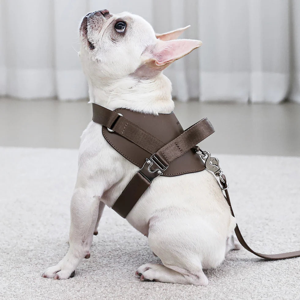 Saddle Harness : Mocha
