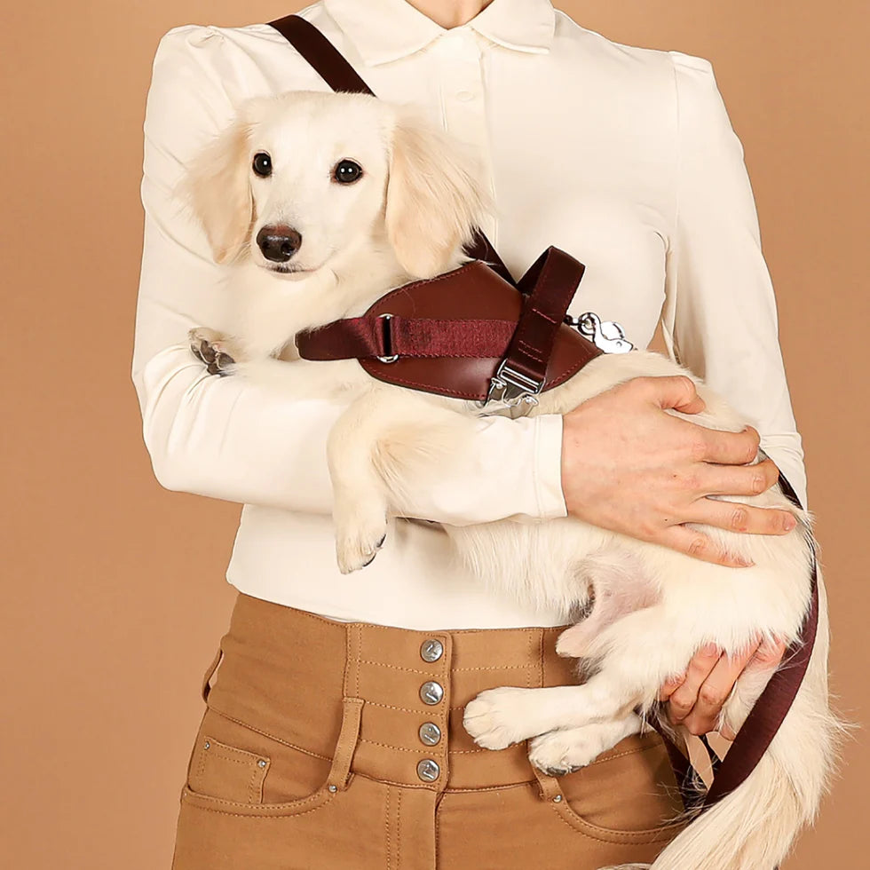 Saddle Harness : Burgundy