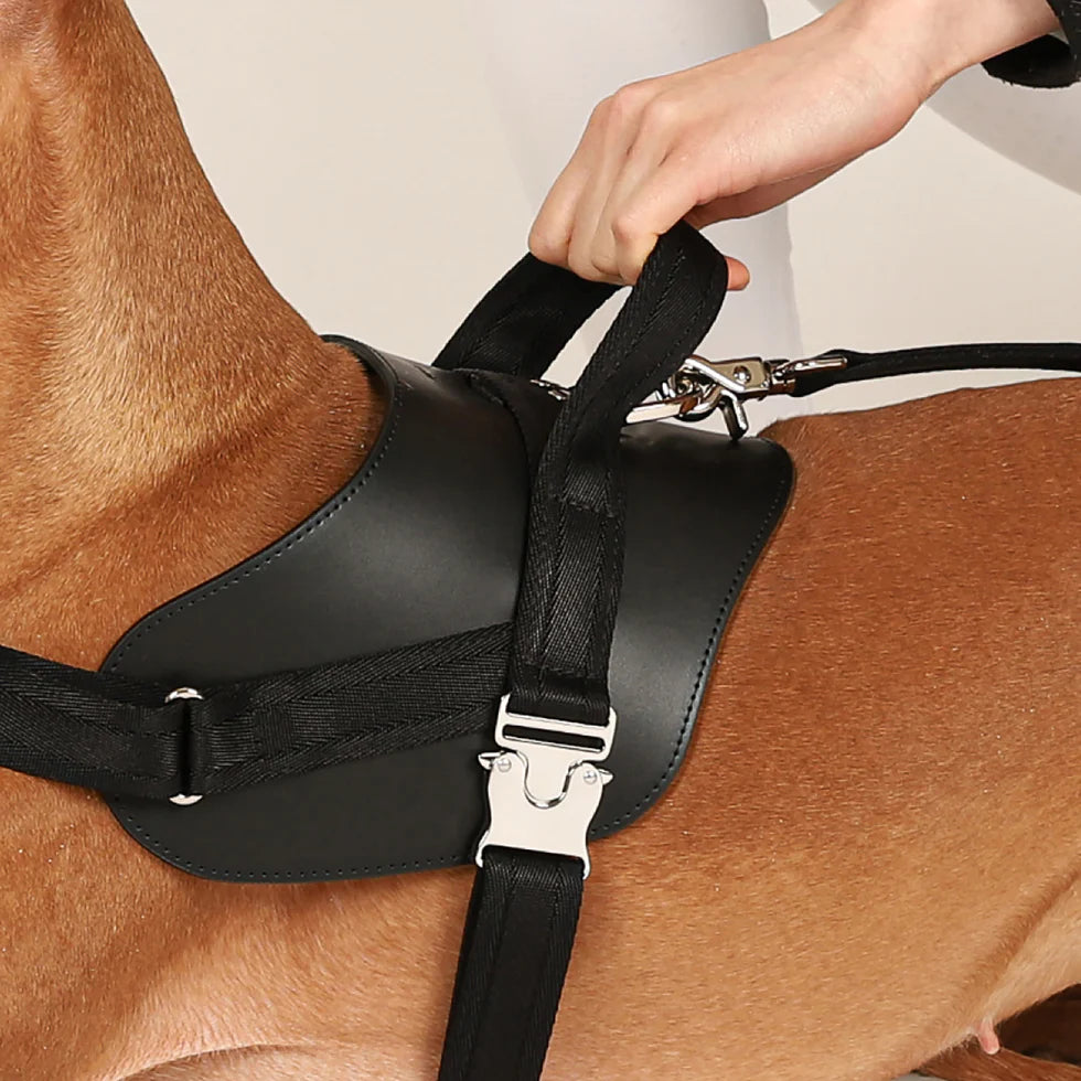 Saddle Harness : Black