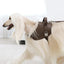 Saddle Harness : Mocha