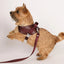 Saddle Harness : Burgundy