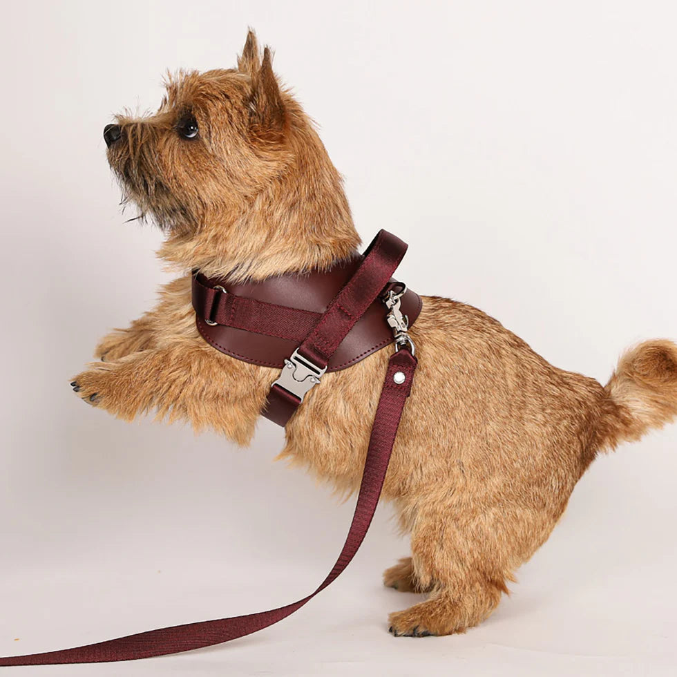 Saddle Harness : Burgundy