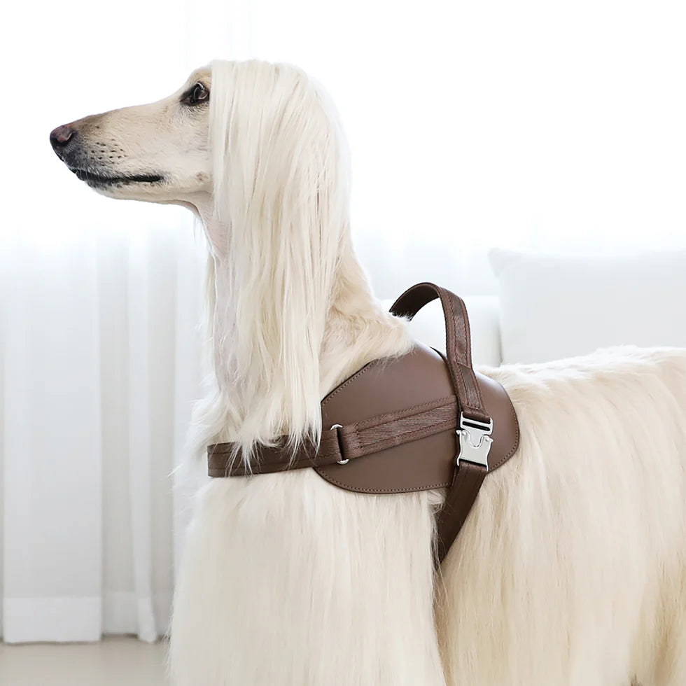 Saddle Harness : Mocha