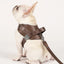 Saddle Harness : Mocha