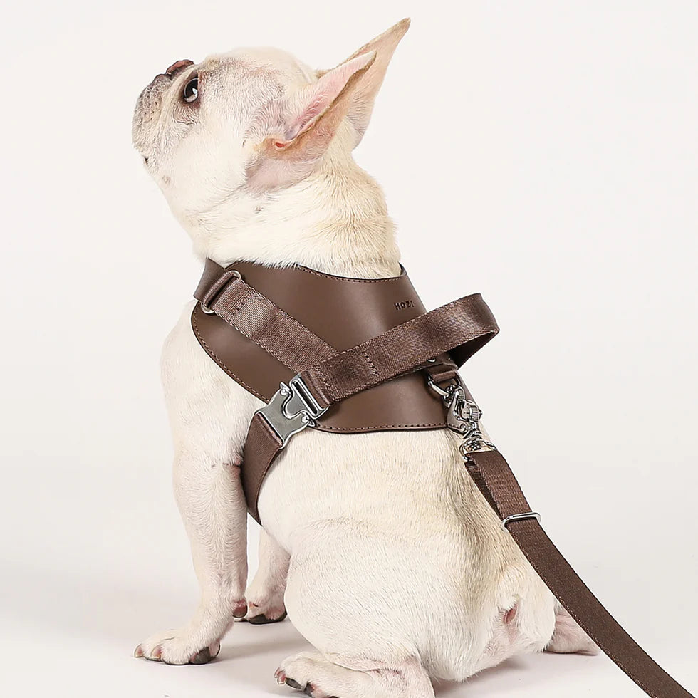 Saddle Harness : Mocha