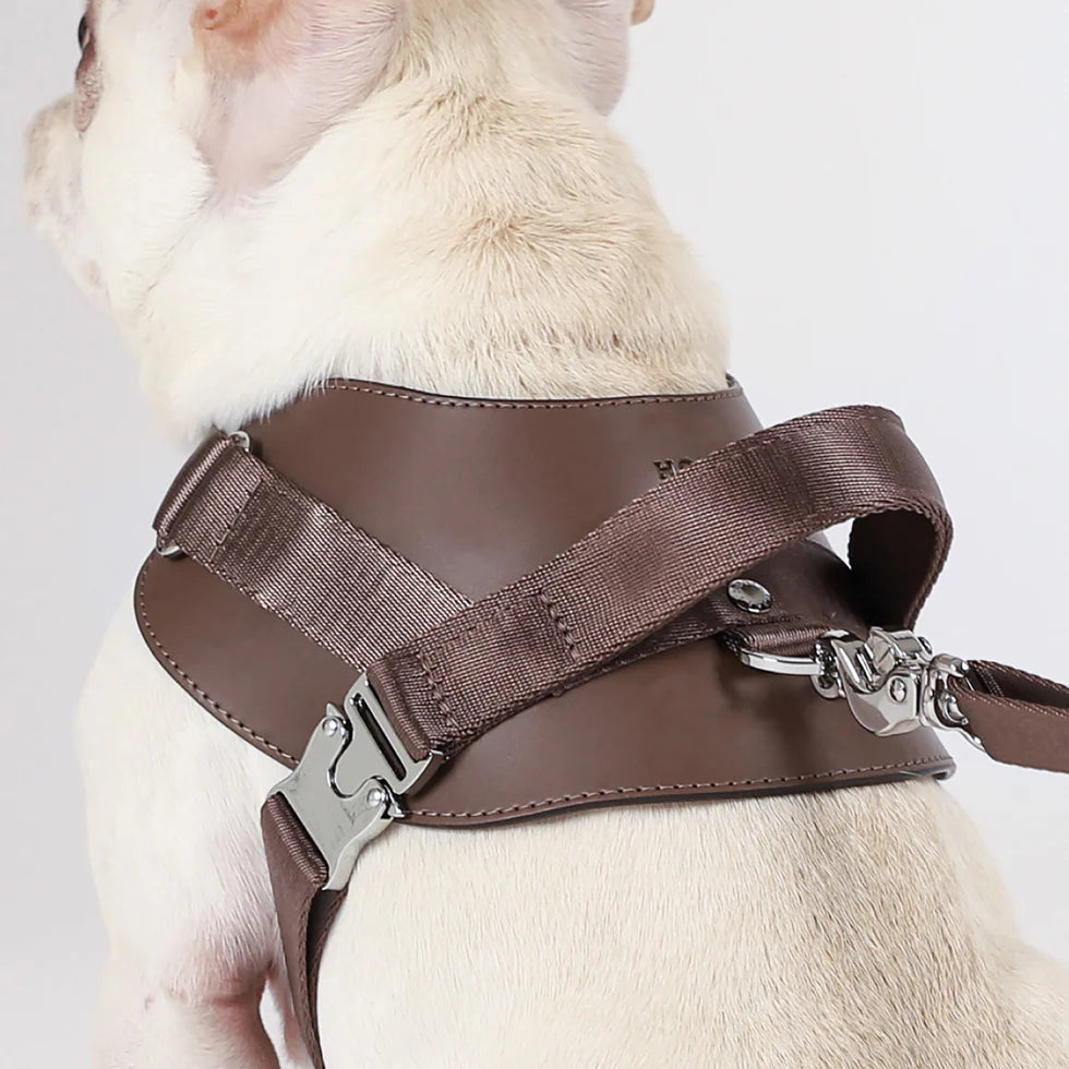 Saddle Harness : Mocha
