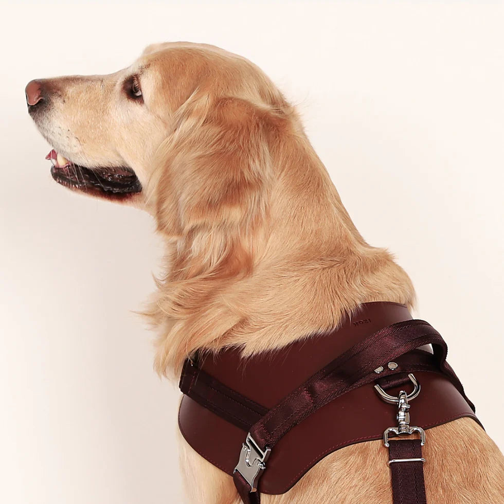 Saddle Harness : Burgundy