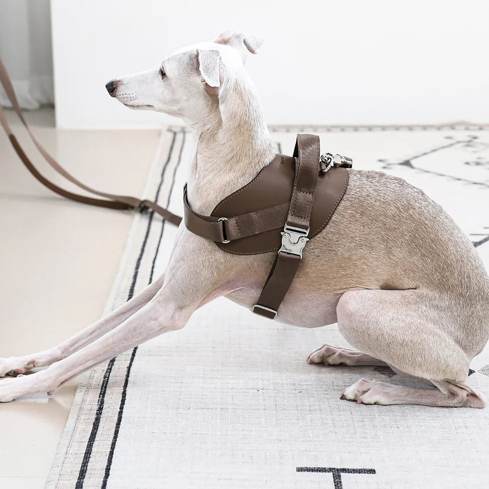 Saddle Harness : Mocha