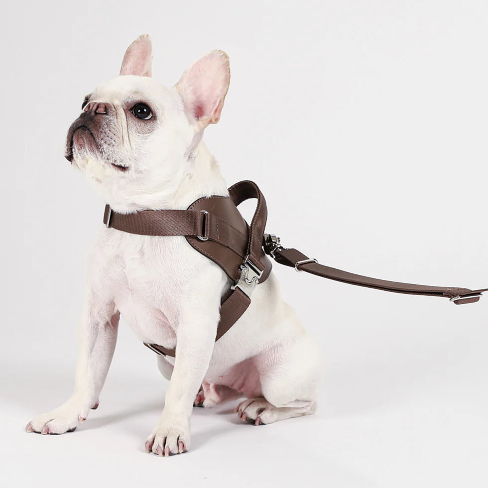 Saddle Harness : Mocha