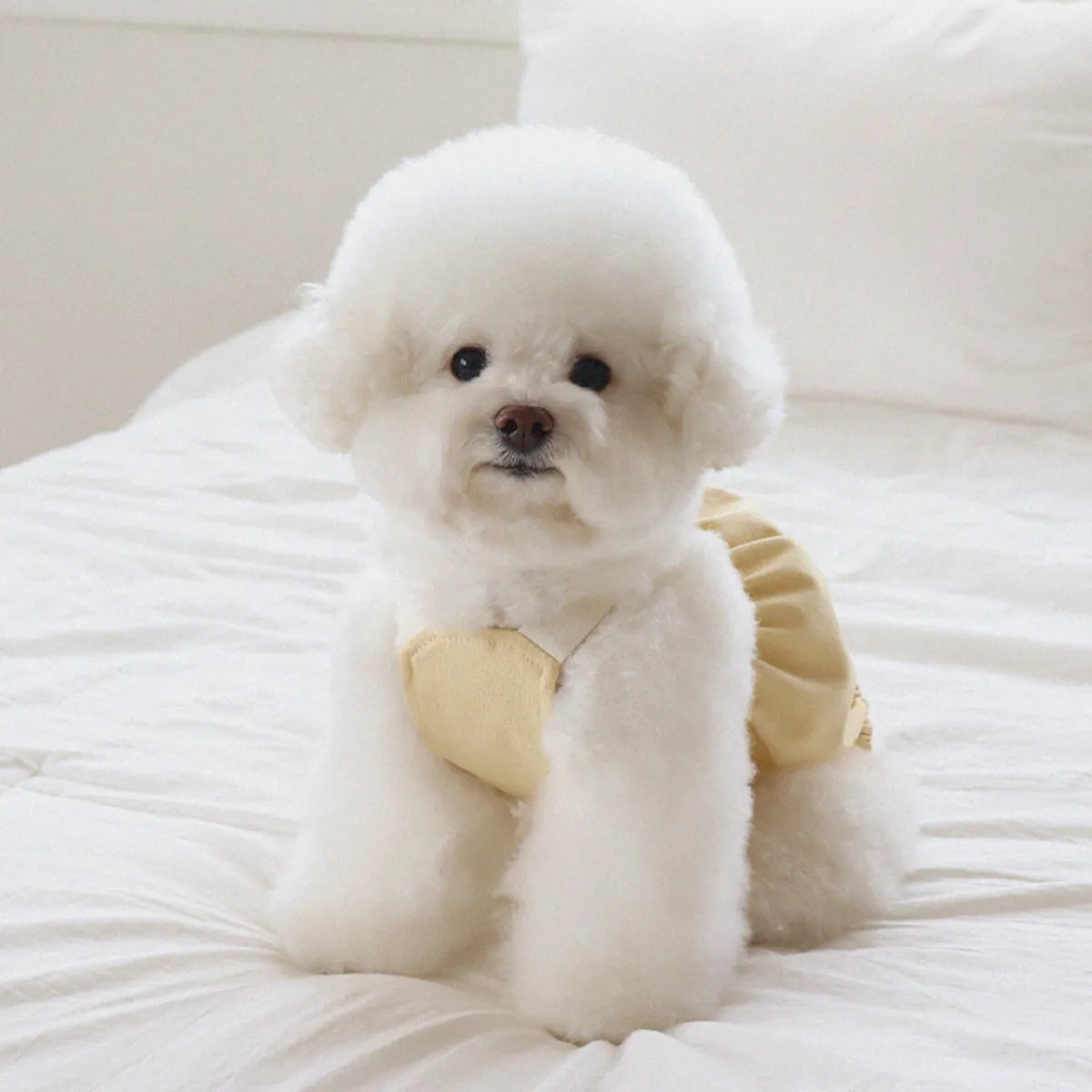 Lovesome balloon overalls (Yellow)