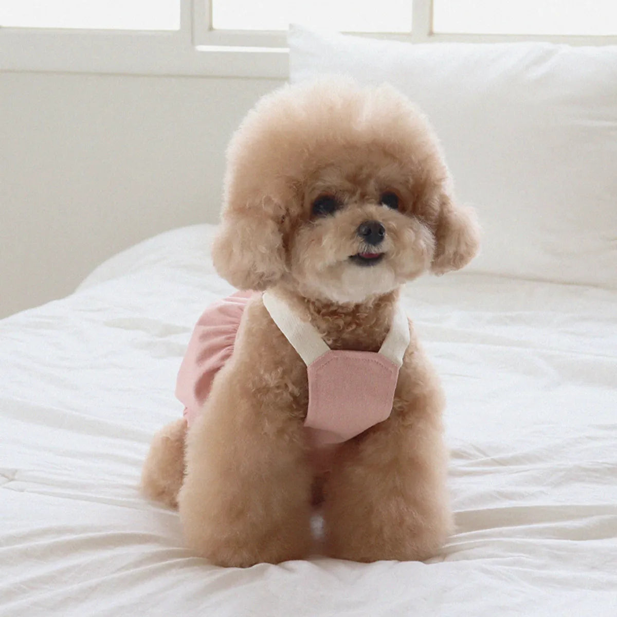 Lovesome balloon overalls (Pink)