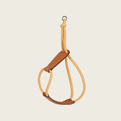 Essential Harness - Mustard