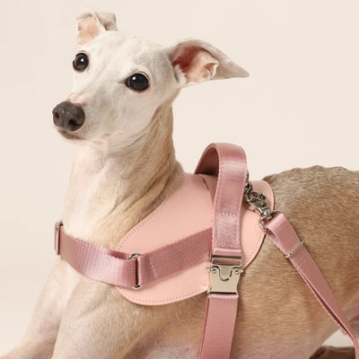 Saddle Harness : Pink
