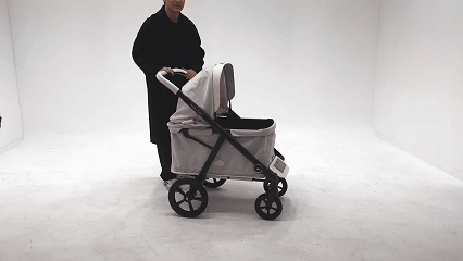 Victoria Wagon by ROYAL TAILS