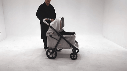 Victoria Wagon by ROYAL TAILS