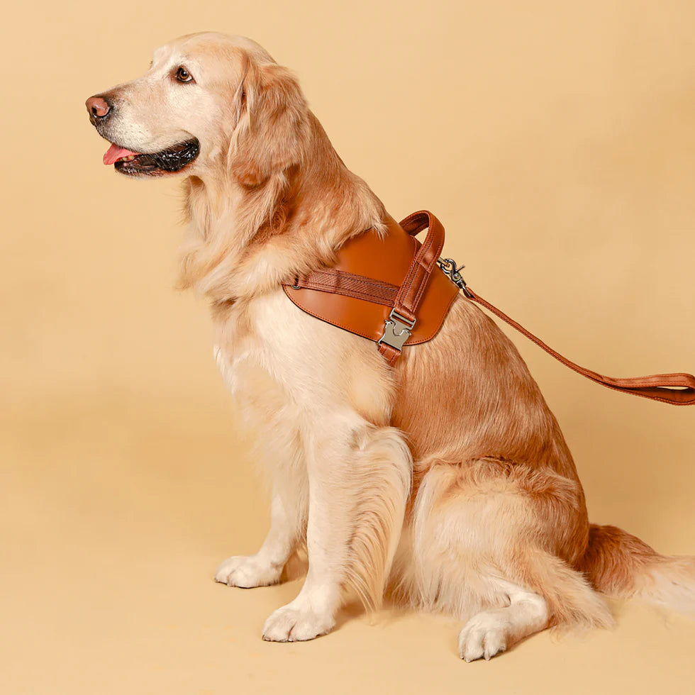 Saddle Harness : Camel