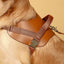 Saddle Harness : Camel