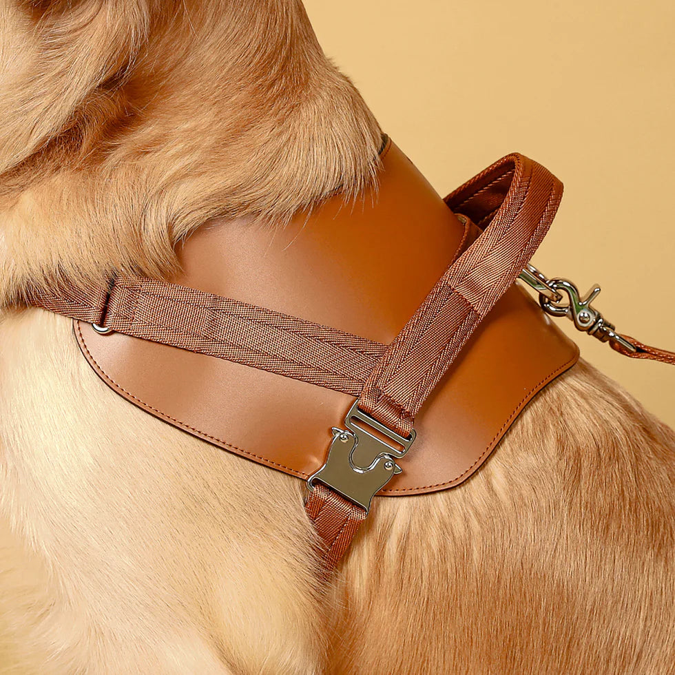 Saddle Harness : Camel