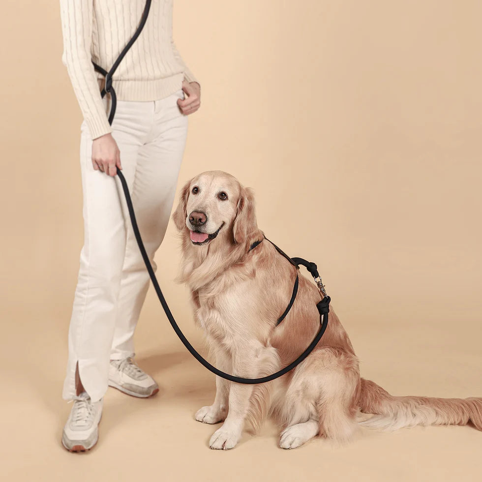 Essential Harness - Navy