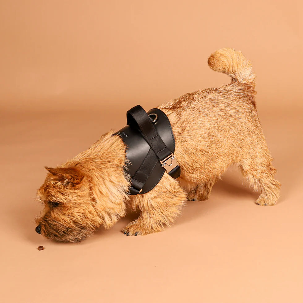 Saddle Harness : Black