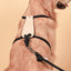 Essential Harness - Navy