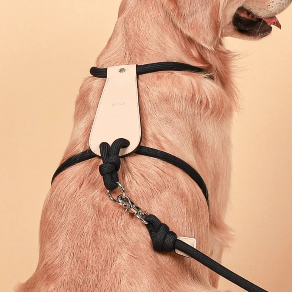 Essential Harness - Navy