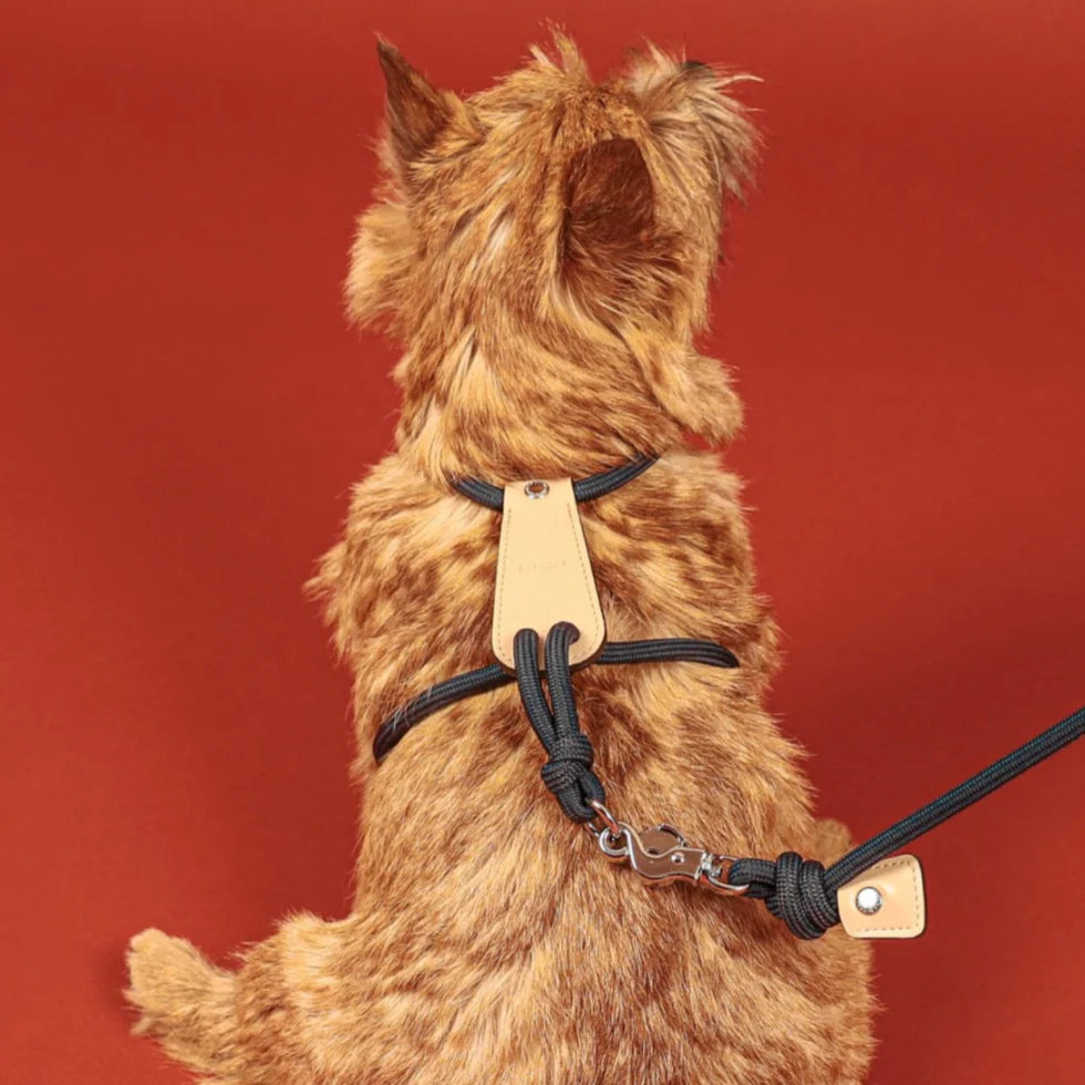 Essential Harness - Navy