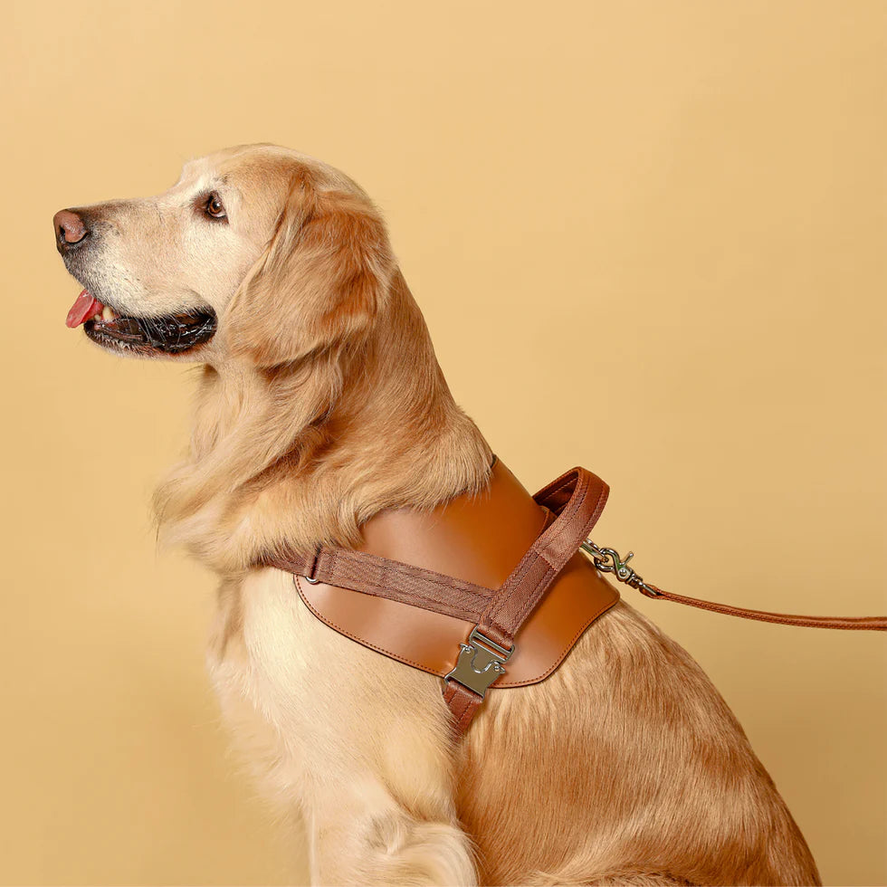 Saddle Harness : Camel