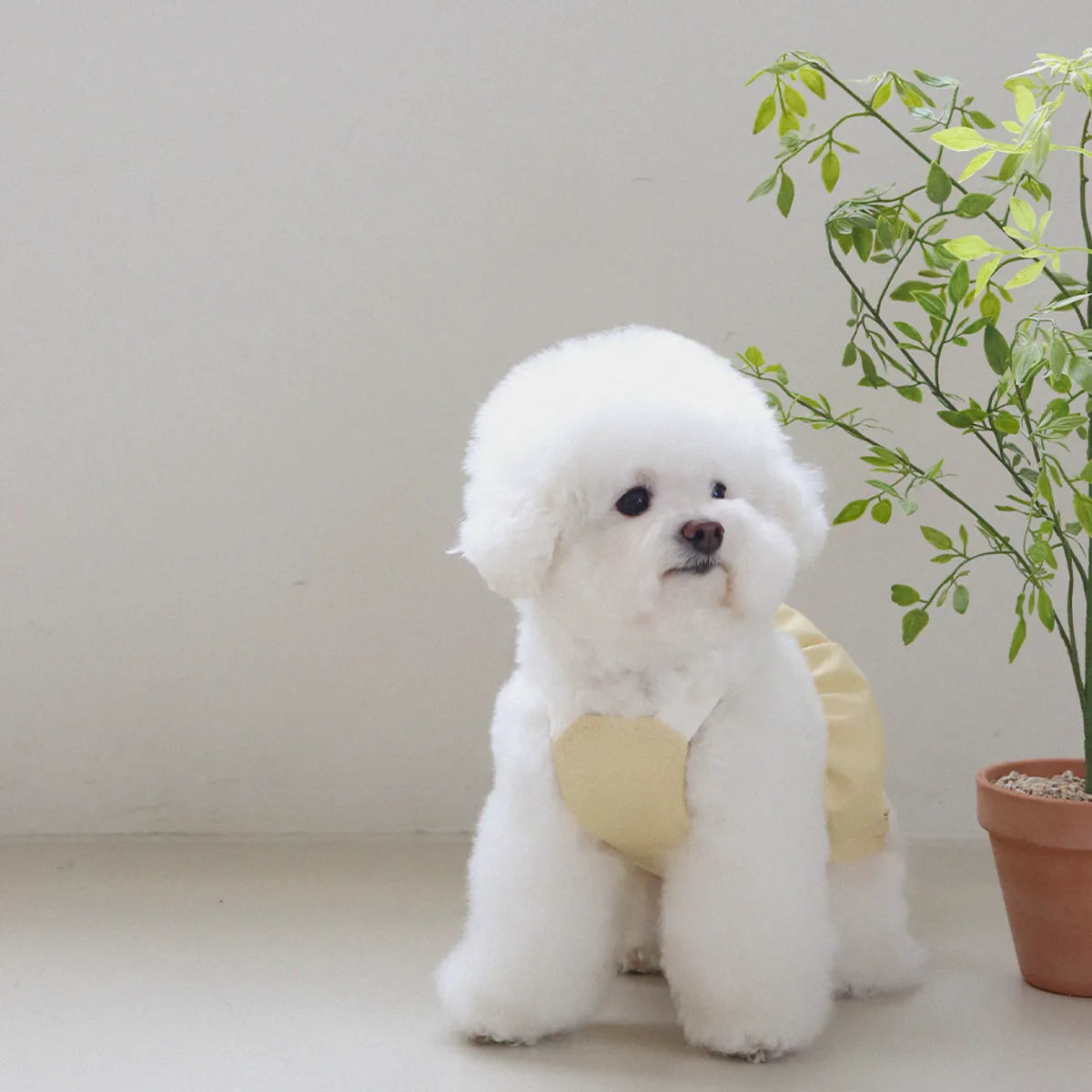Lovesome balloon overalls (Yellow)