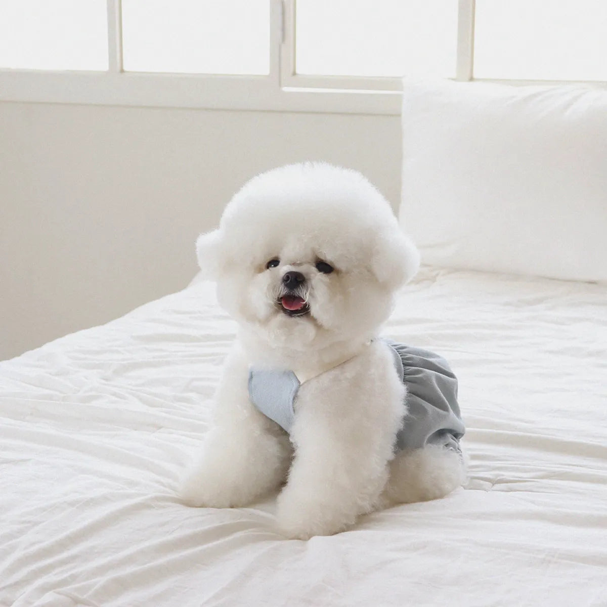 Lovesome balloon overalls (Blue)