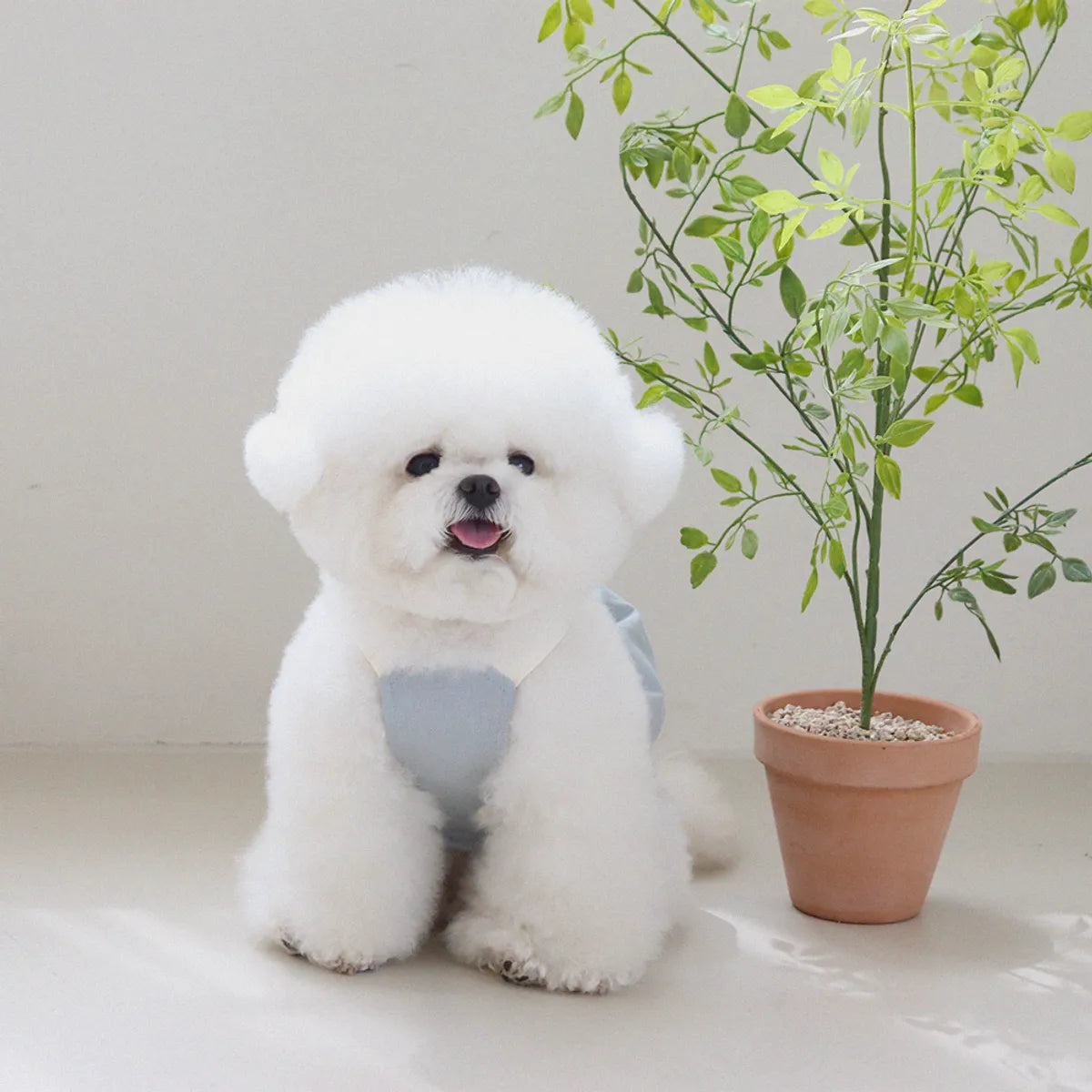 Lovesome balloon overalls (Blue)