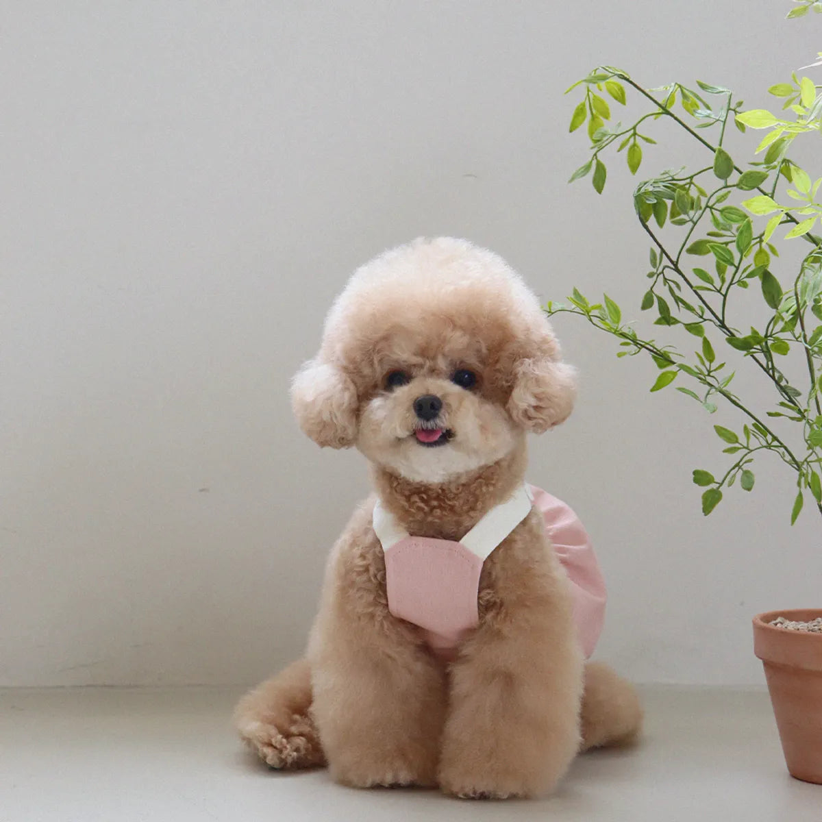 Lovesome balloon overalls (Pink)