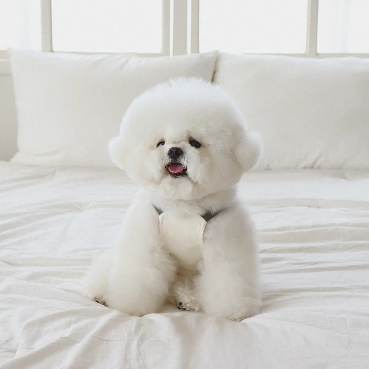 Lovesome balloon overalls (Cream)