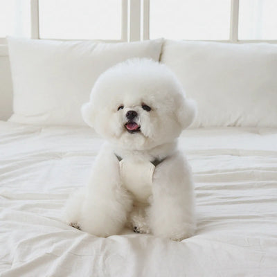 Lovesome balloon overalls (Cream)