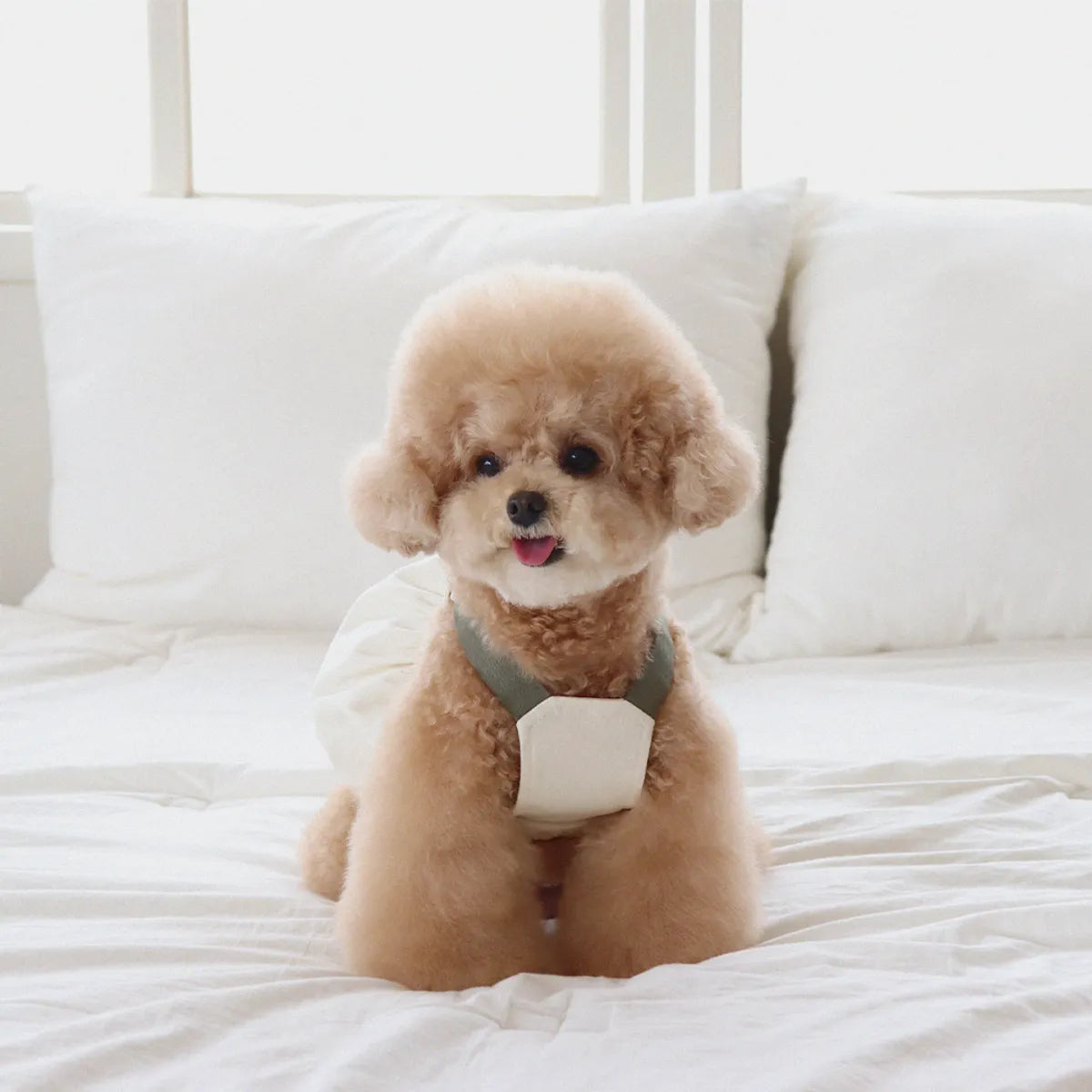 Lovesome balloon overalls (Cream)