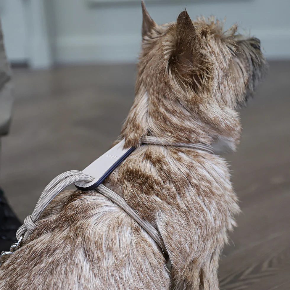 Essential Harness - Beige