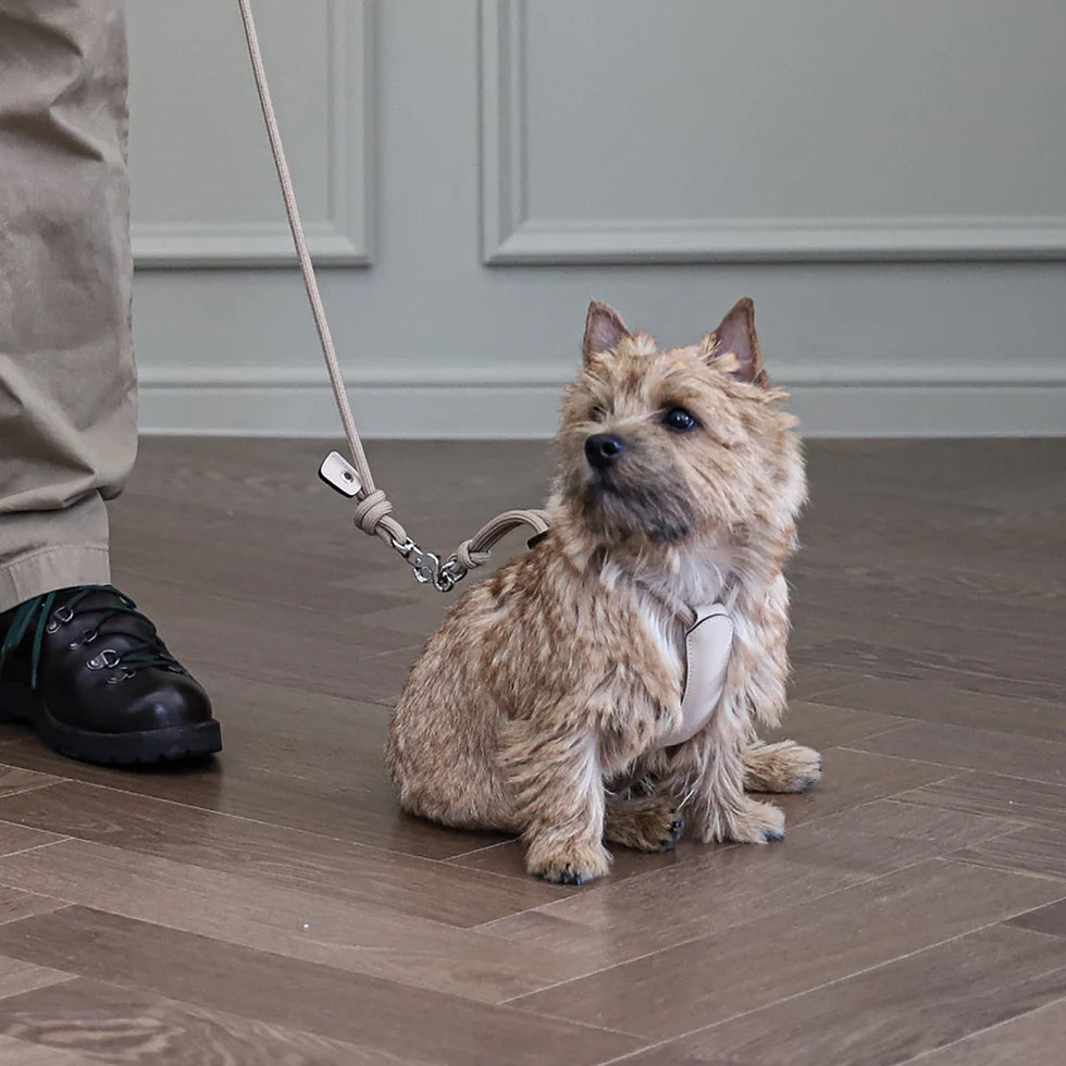 Essential Harness - Beige