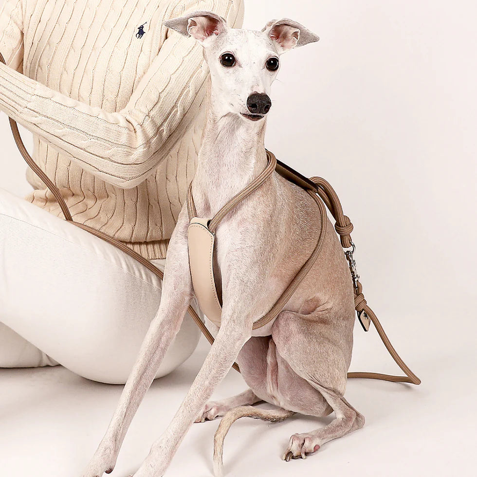 Essential Harness - Beige