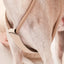 Essential Harness - Beige