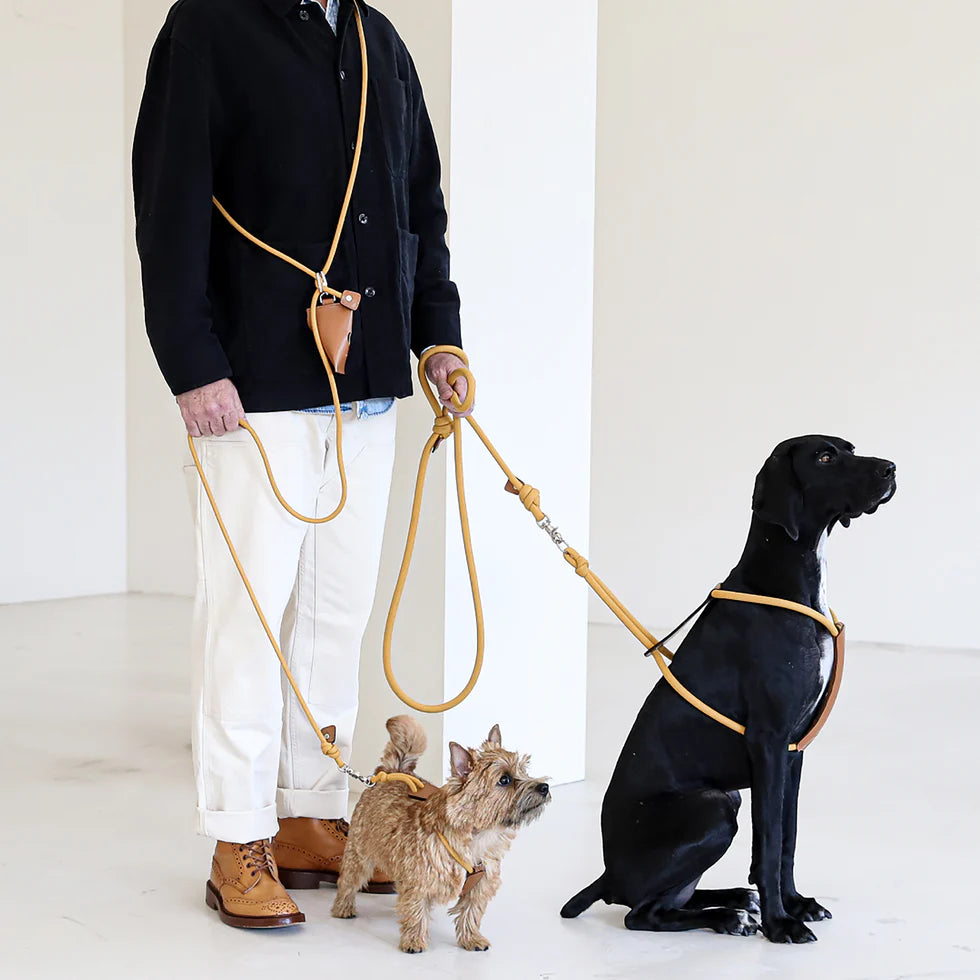 Essential Harness - Mustard