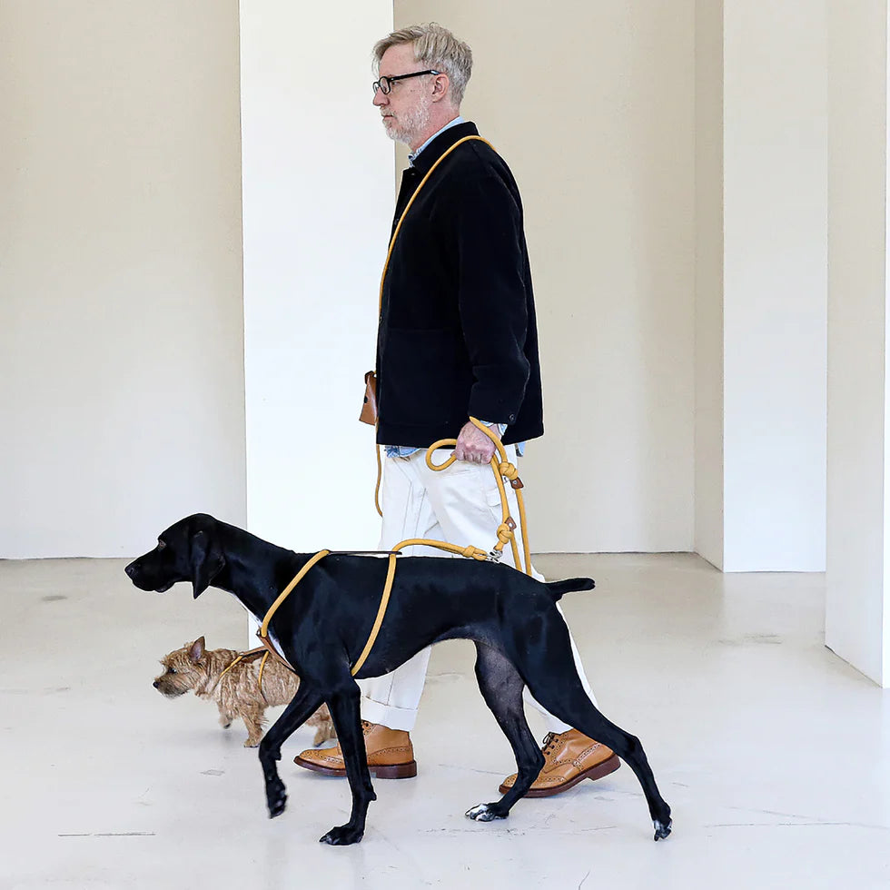 Essential Harness - Mustard