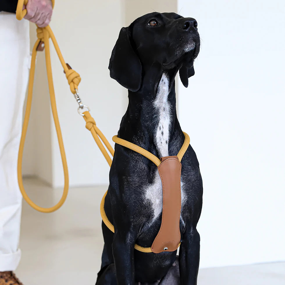 Essential Harness - Mustard