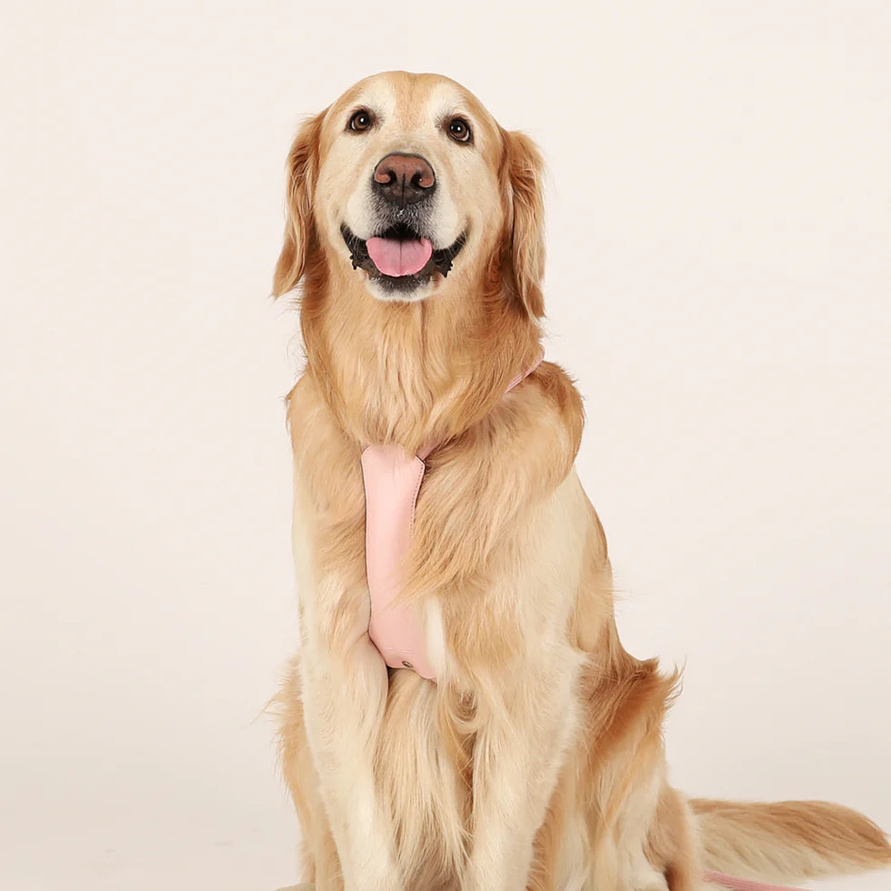 Essential Harness - Pink