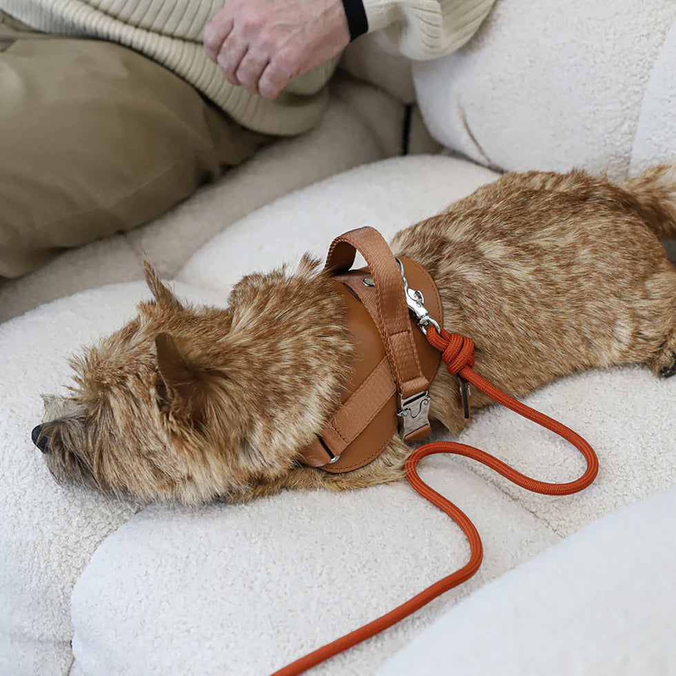 Saddle Harness : Camel