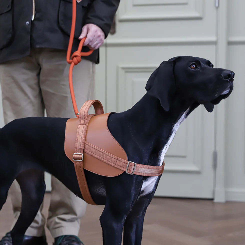 Saddle Harness : Camel