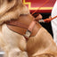 Saddle Harness : Camel