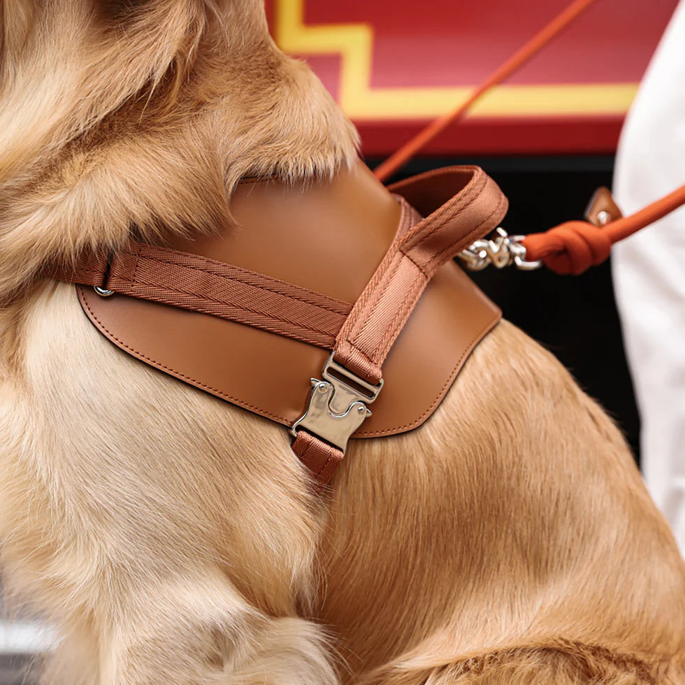 Saddle Harness : Camel