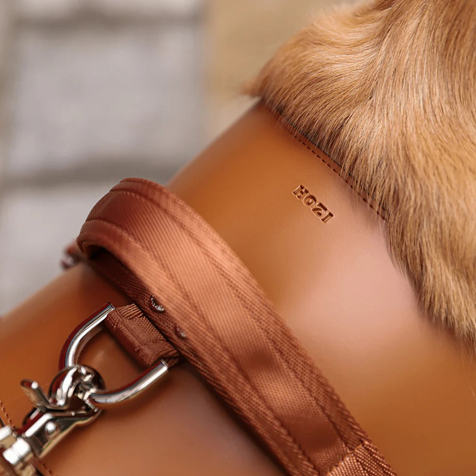Saddle Harness : Camel