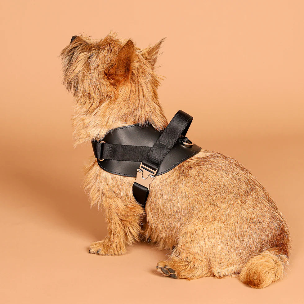 Saddle Harness : Black