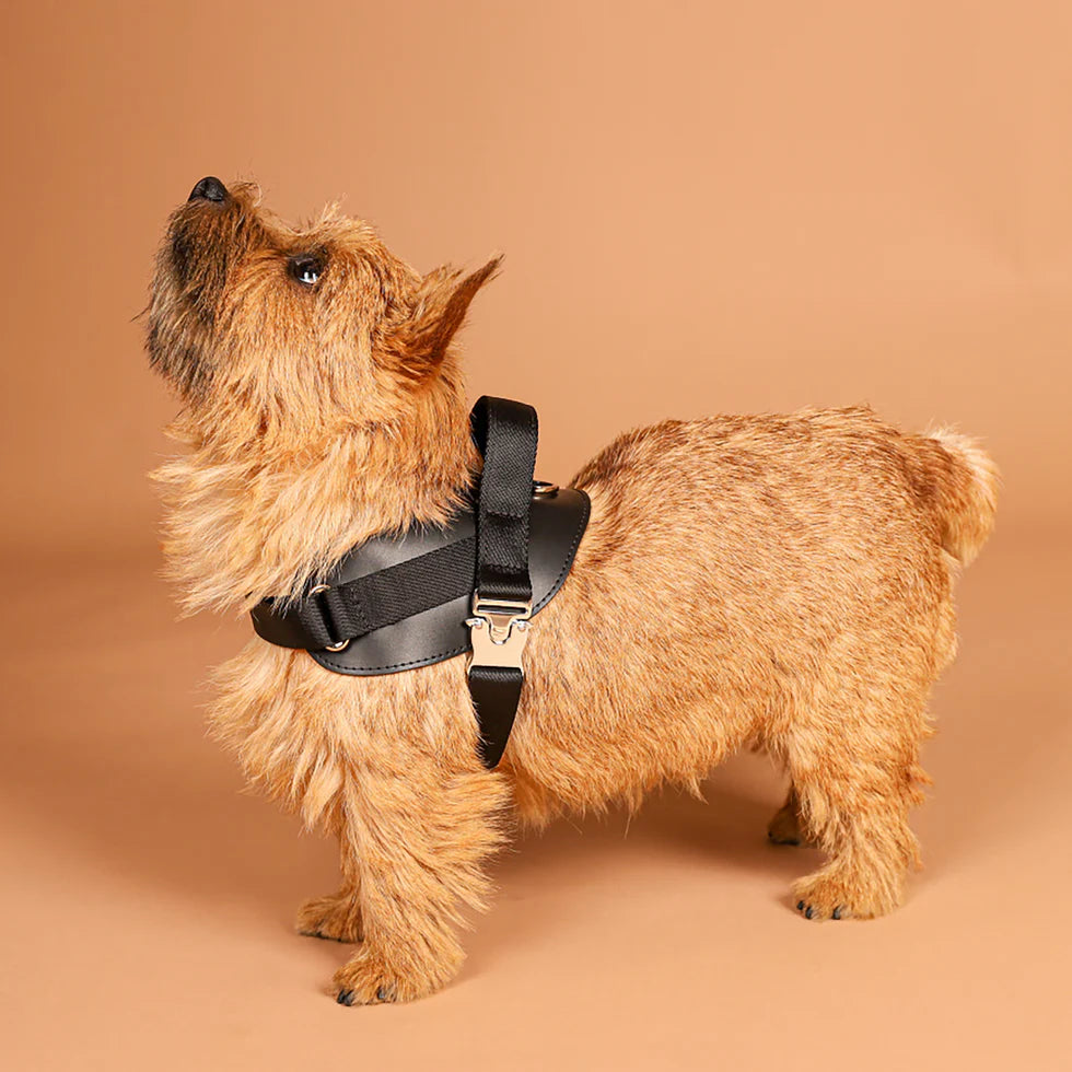 Saddle Harness : Black